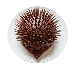Chocolate Hedgehog 